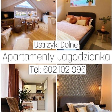 Apartamenty Jagodzianka - Jacuzzi, Sauna, Teznia Solankowa 下乌斯奇基 外观 照片