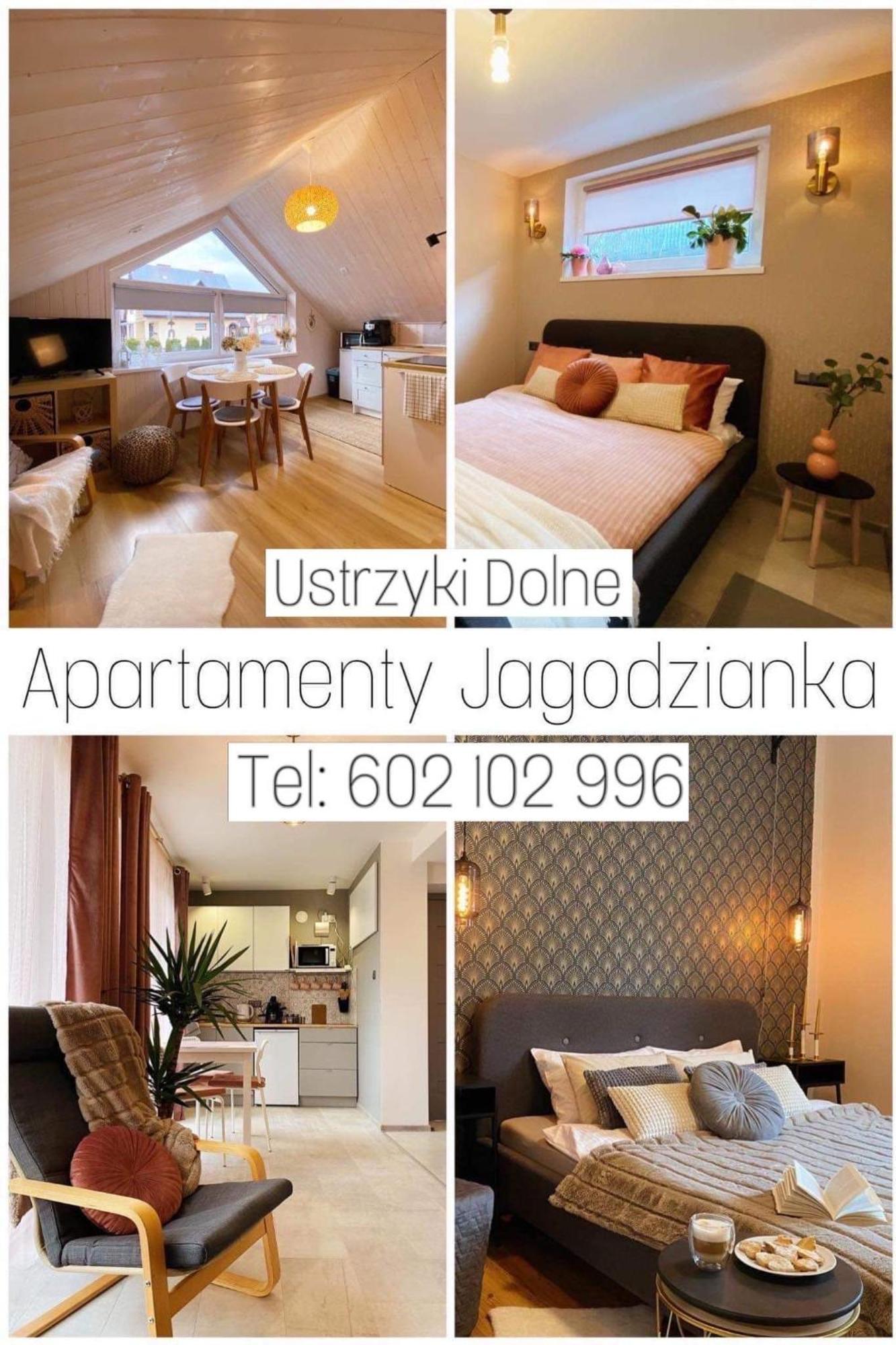 Apartamenty Jagodzianka - Jacuzzi, Sauna, Teznia Solankowa 下乌斯奇基 外观 照片